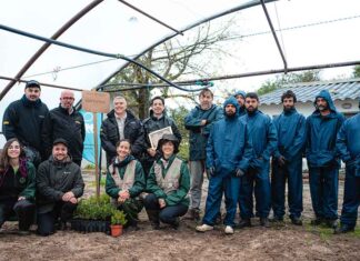 Driver ‘siembra’ en Arraiga (Aveiro, Portugal) su segundo bosque: una iniciativa con impacto medioambiental y social Driver bosque Portugal