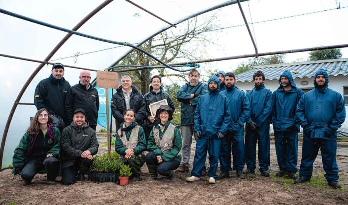 Driver bosque Portugal