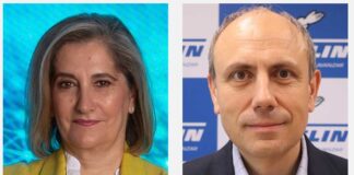 Michelin cambio cúpula