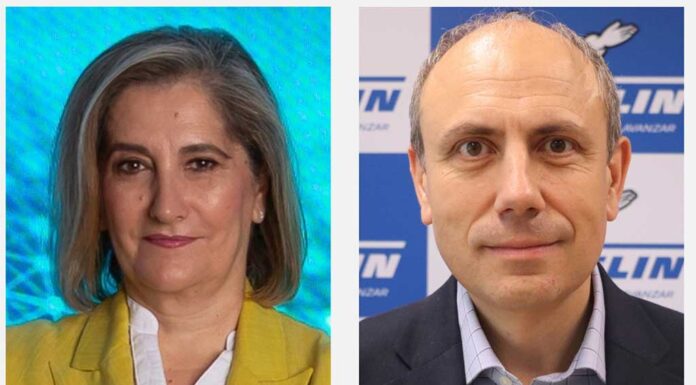 Michelin cambio cúpula