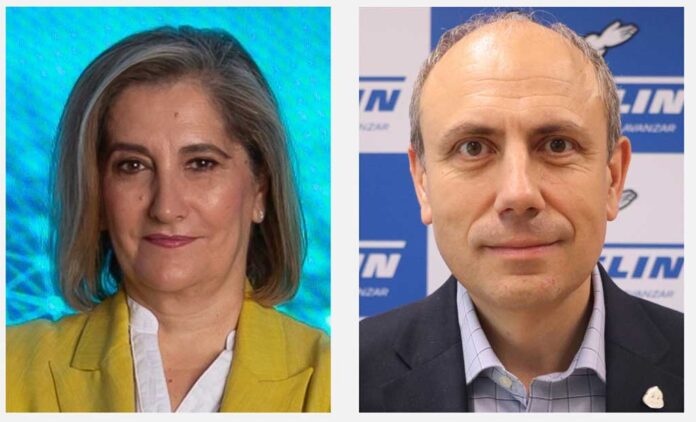 Michelin cambio cúpula