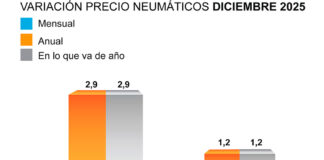 ADINE precio neumáticos 2025