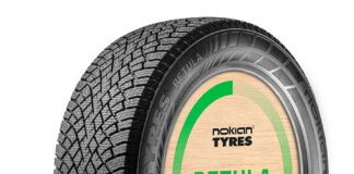 Nokian Betula