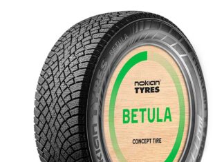 Nokian Betula