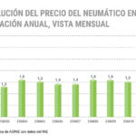 ADINE precio neumático 2026