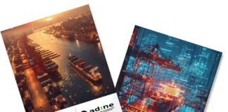 importaciones neumáticos noviembre ADINE