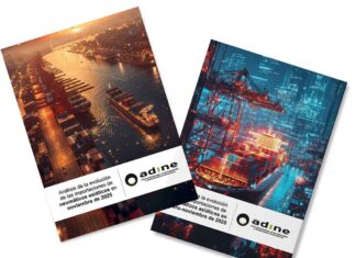 importaciones neumáticos noviembre ADINE