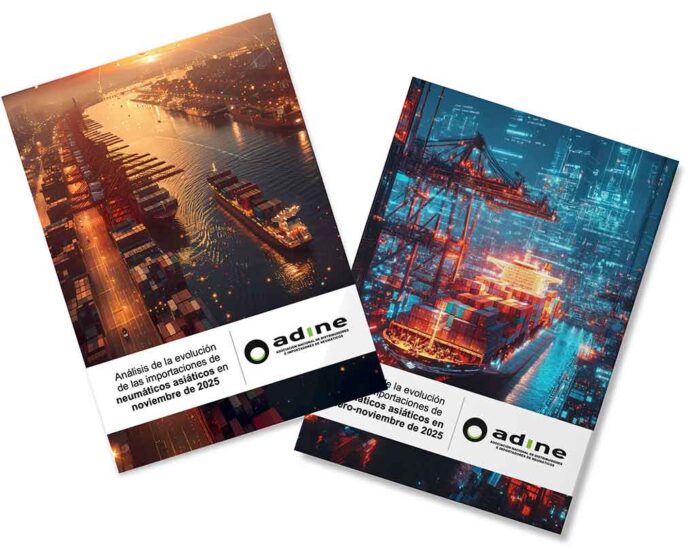 importaciones neumáticos noviembre ADINE