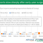 Tyres Europe mercado 2025