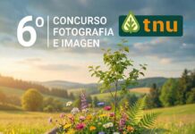 TNU concurso