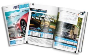 Europneus número 293