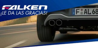 Falken campaña