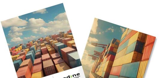 importaciones 2025 ADINE