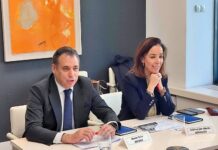 comision de recambios de sernauto