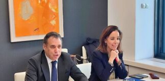 comision de recambios de sernauto