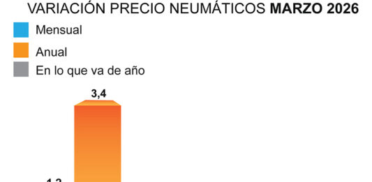 precio neumáticos ADINE