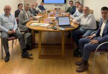 OPEN Junta Directiva
