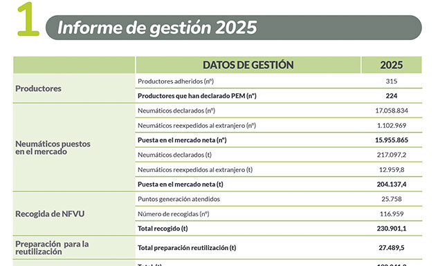 Signus Memoria 2025