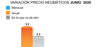 ADINE precio neumático junio