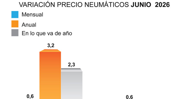 ADINE precio neumático junio