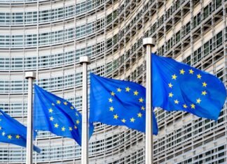 La CE avala mantener un marco regulatorio específico para la posventa de automoción La CE avala mantener un marco regulatorio específico para la posventa de automoción
