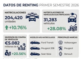 Datos renting primer semestre
