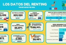 Autónomos y particulares lideran el crecimiento del parque de renting renting primer semestre 2026