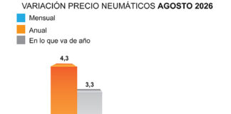precio neumáticos agosto ADINE
