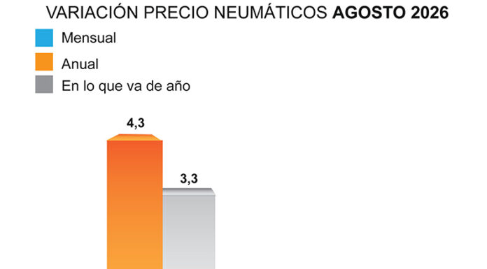 precio neumáticos agosto ADINE