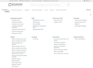 WEGMANN automotive 