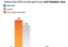 ADINE precio neumáticos septiembre 2026