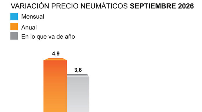 ADINE precio neumáticos septiembre 2026
