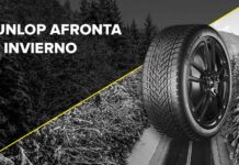 Dunlop gama invierno