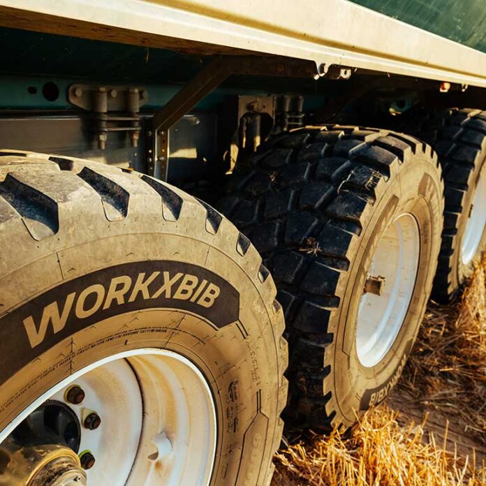 Michelin WorkXBib