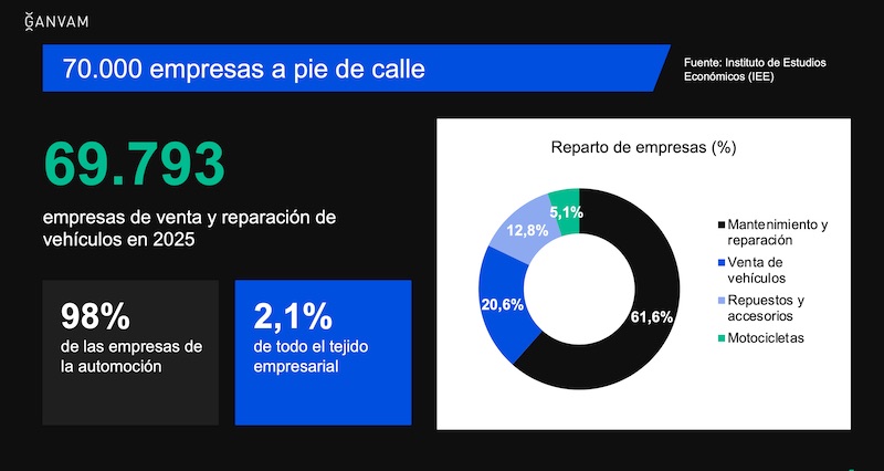 Informe IEE para Ganvam